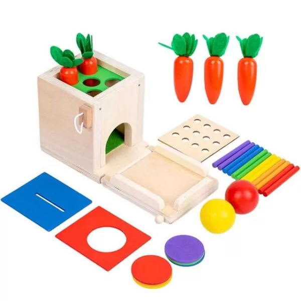 Boite Classification Montessori