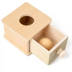 Boite Montessori Permanence de l'objet