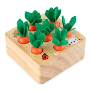 Jeu Carottes Montessori